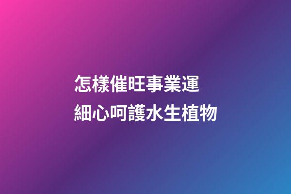 怎樣催旺事業運 細心呵護水生植物